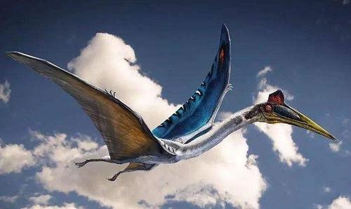 风神翼龙最新爆料视频,揭秘神秘生物的进化之谜  第1张