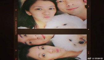 贾静雯家人最新爆料,揭秘豪门恩怨背后的惊人真相  第2张