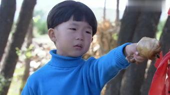 儿子在线观看,儿子在线观看的奇妙旅程  第2张