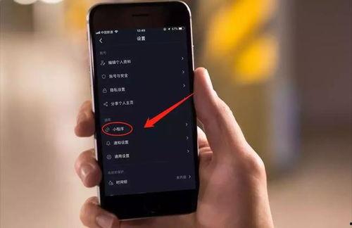 抖音爆料小程序短视频,短视频揭秘热门话题背后的真相  第1张