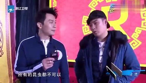 黄磊爆料蟑螂视频大全,惊悚瞬间大盘点  第2张