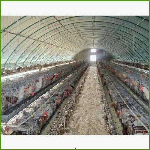 热点大棚爆料视频大全,揭秘农业科技前沿与产业变革  第2张