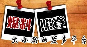 成都新闻爆料平台,聚焦城市热点，揭秘幕后真相